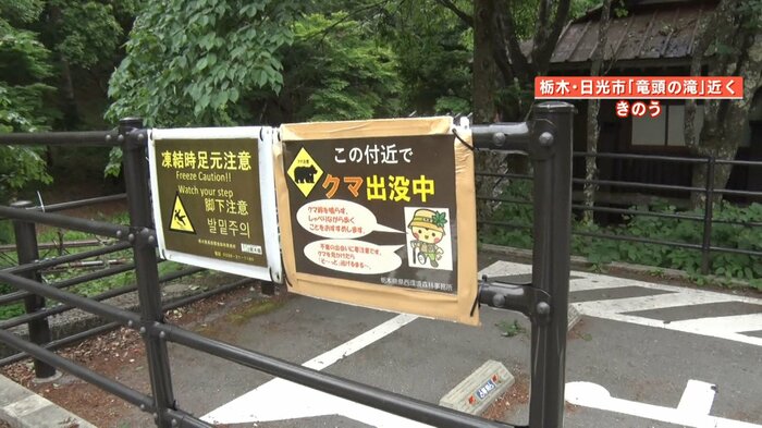 「クマ出没中」という注意書きの看板